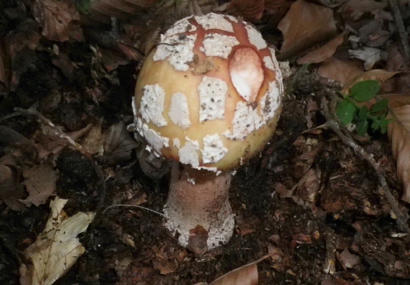 Una mattinata al San Vicino